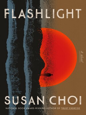 cover image of Flashlight